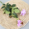 Silk flower fresh-keeping roses used to decorate the wedding background Item Picture